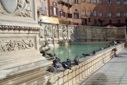 Finding Familiarity in Siena: Bonding over Homesickness While Studying Abroad